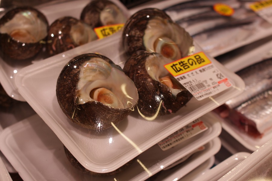 岩手山キンキ煮付